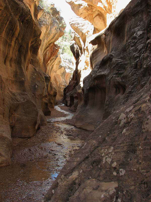 Bryce Canyon - Willis Creek Slot Canyon